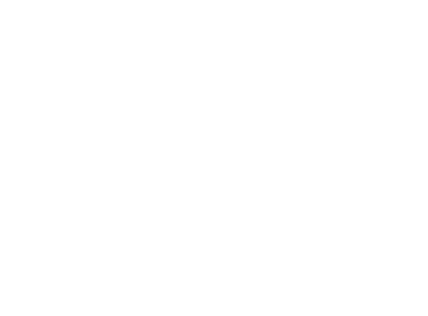 Zaara Europe